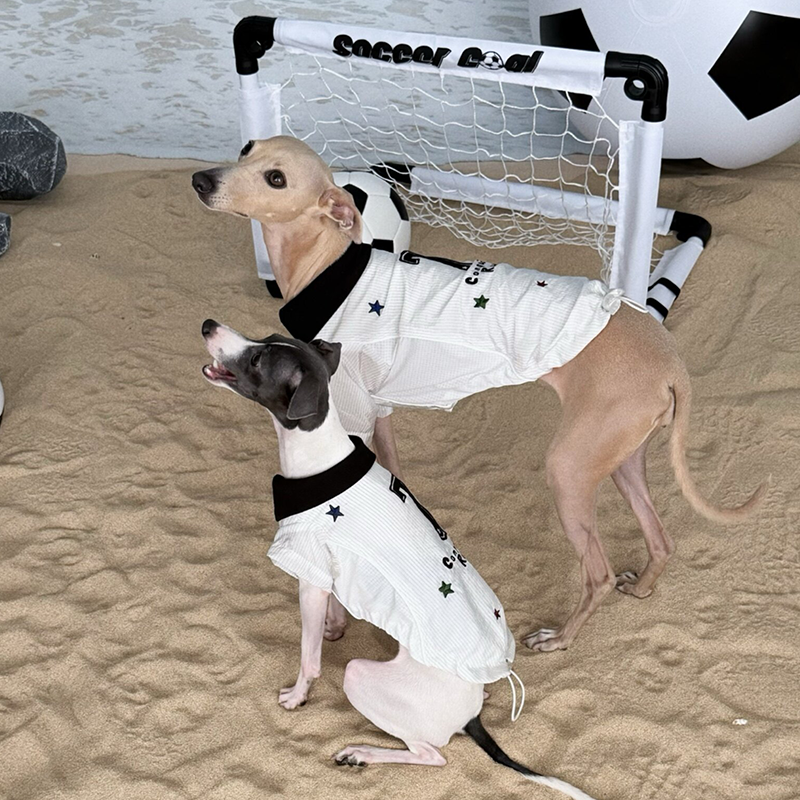 World Cup Vintage Embroidered Cooling Clothes Whippet Jersey Italian Greyhound Clothes