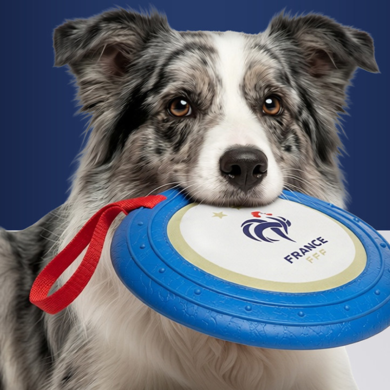 World Cup France Team Dog Flying Disc Durable Training Toy Outdoor