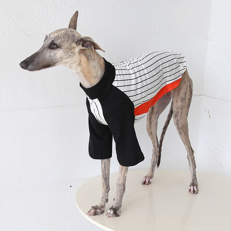 World Cup Vintage League Baseball Jacket Italian Greyhound Whippet Clothes
