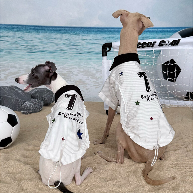 World Cup Vintage Embroidered Cooling Clothes Whippet Jersey Italian Greyhound Clothes