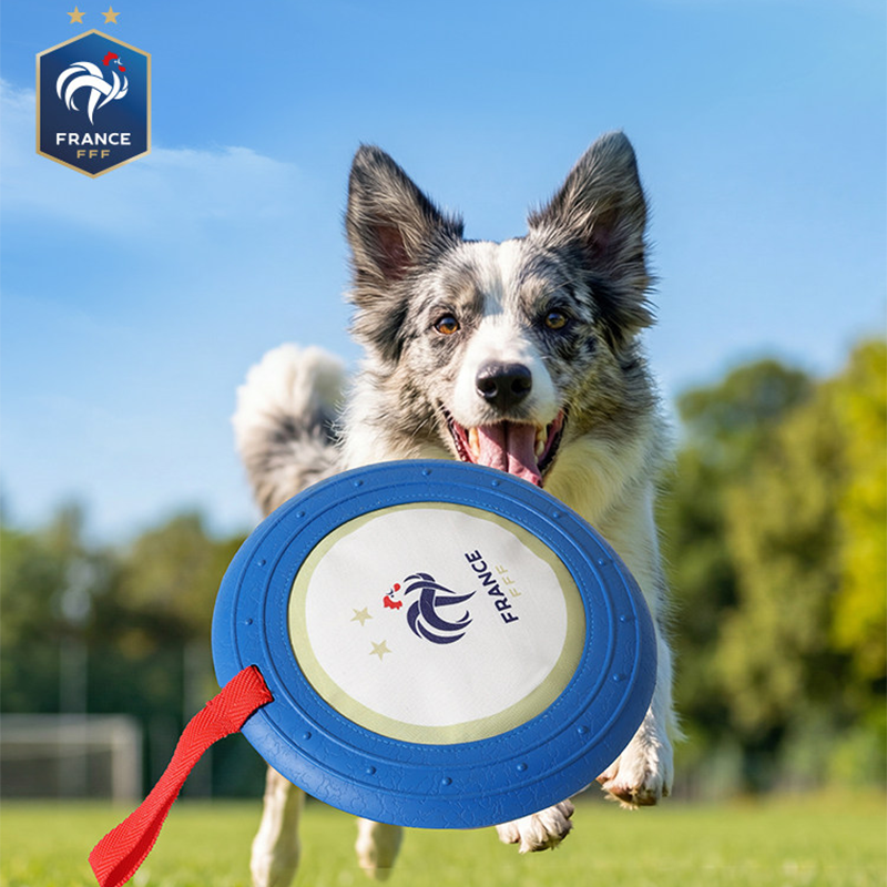World Cup France Team Dog Flying Disc Durable Training Toy Outdoor
