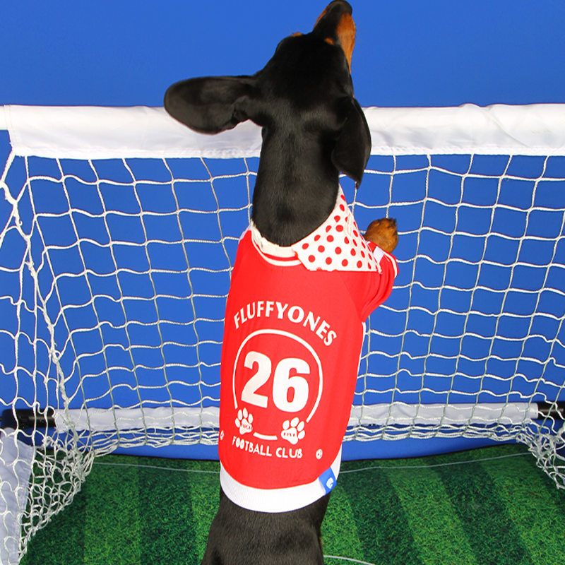 Soccer Sports Top Dog & Cat Breathable Athletic Shirt Dress