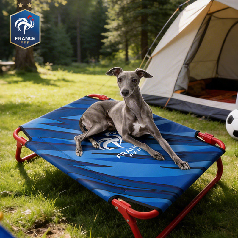 World Cup France Team Elevated Dog Bed Steel Frame Bed