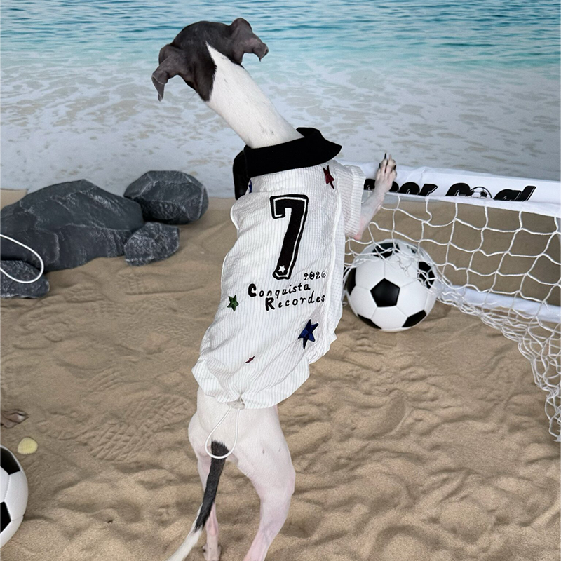 World Cup Vintage Embroidered Cooling Clothes Whippet Jersey Italian Greyhound Clothes