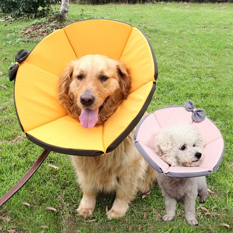 Cat Recovery Collar Dog Recovery Cone Anti - Bite Anti - Lick Protective -