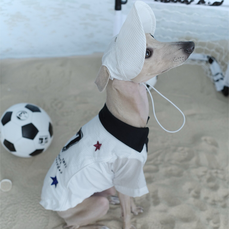 World Cup Vintage Embroidered Cooling Clothes Whippet Jersey Italian Greyhound Clothes