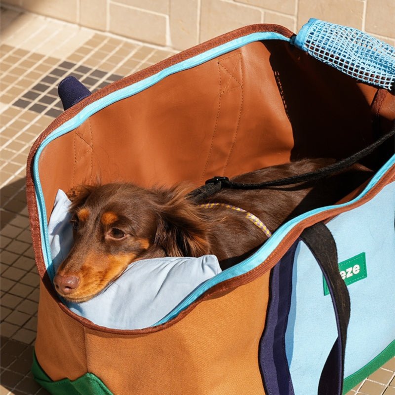 Pet Carrier Outing Portable Cat Dog Handbag -