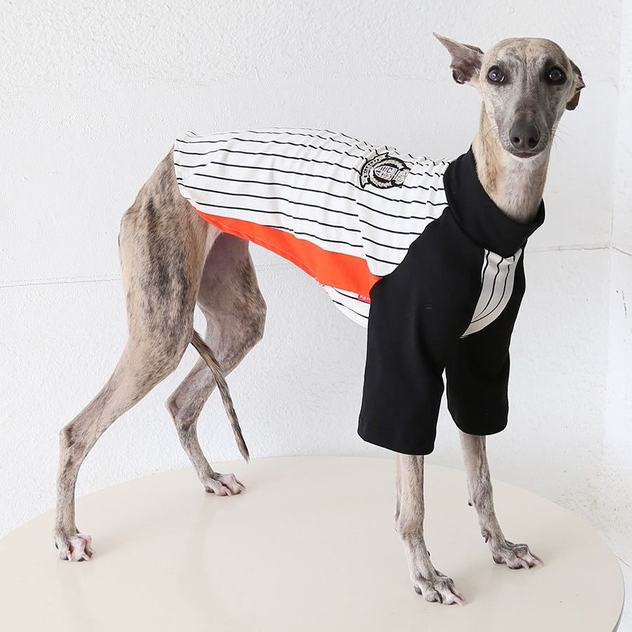World Cup Vintage League Baseball Jacket Italian Greyhound Whippet Clothes