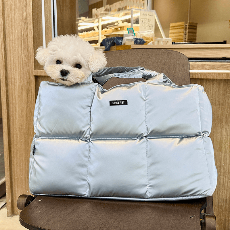 Pet Carrier Outing Stylish Portable Handbag For Pet Under 6.6 lbs -