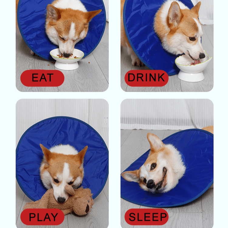 Soft Waterproof Dog Recovery Collar -