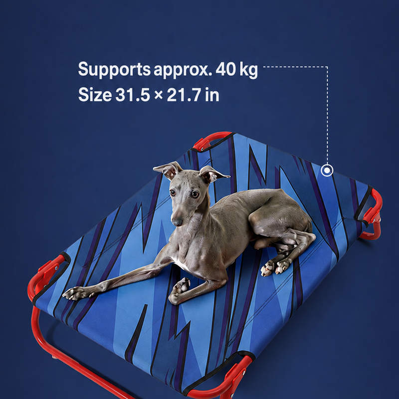 World Cup France Team Elevated Dog Bed Steel Frame Bed