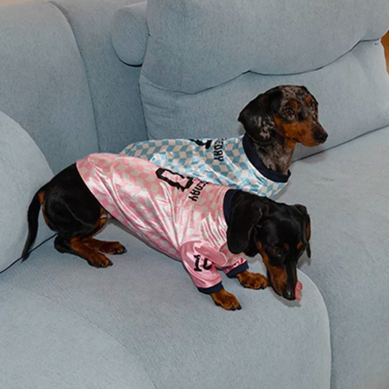Vintage Jersey Dachshund Lightweight Shirts