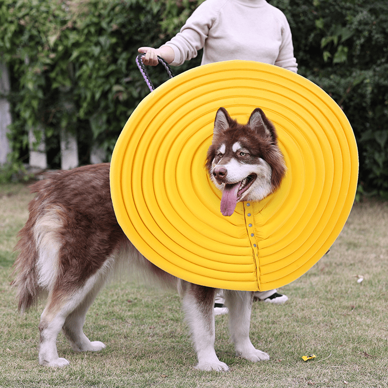 Extended Wide Elizabeth Collar for Dogs Comfortable Recovery Cone -