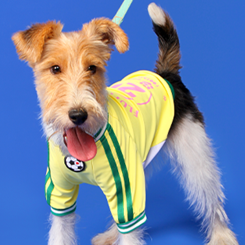 Soccer Sports Top Dog & Cat Breathable Athletic Shirt Dress