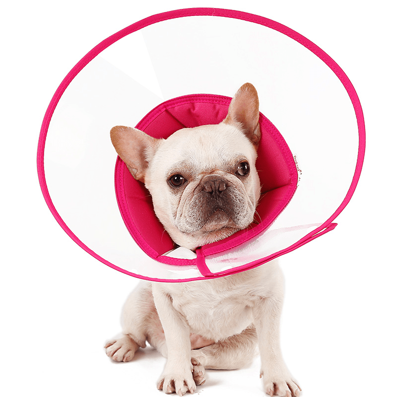 Protective Elizabeth Collar Dog Cone Anti - Bite Lick Scratch -