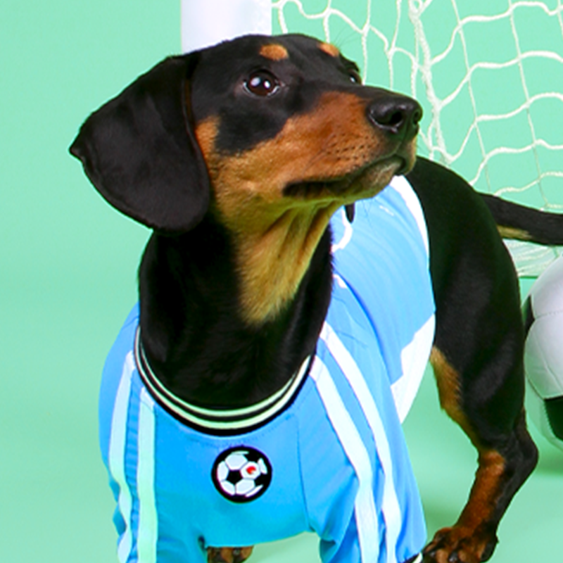 Soccer Sports Top Dog & Cat Breathable Athletic Shirt Dress