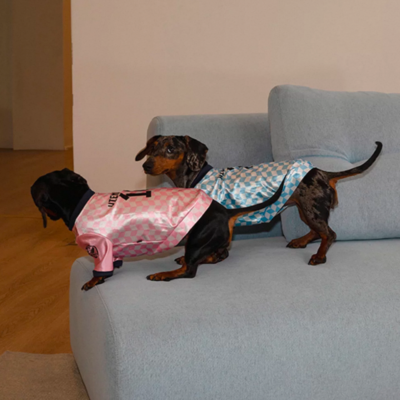 Vintage Jersey Dachshund Lightweight Shirts