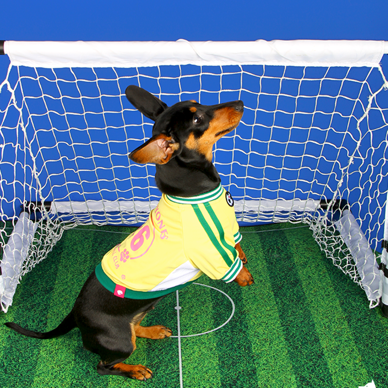 Soccer Sports Top Dog & Cat Breathable Athletic Shirt Dress