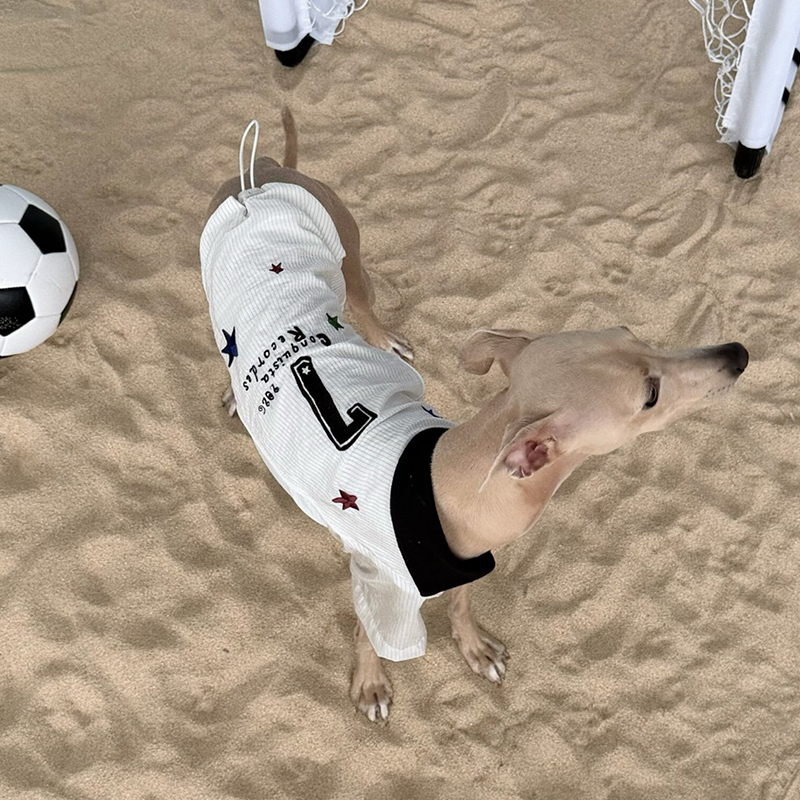 World Cup Vintage Embroidered Cooling Clothes Whippet Jersey Italian Greyhound Clothes
