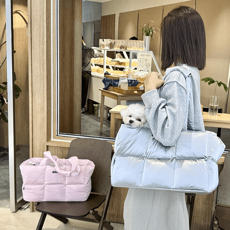 Pet Carrier Outing Stylish Portable Handbag For Pet Under 6.6 lbs -