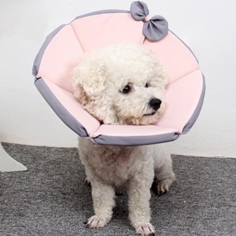 Cat Recovery Collar Dog Recovery Cone Anti - Bite Anti - Lick Protective -