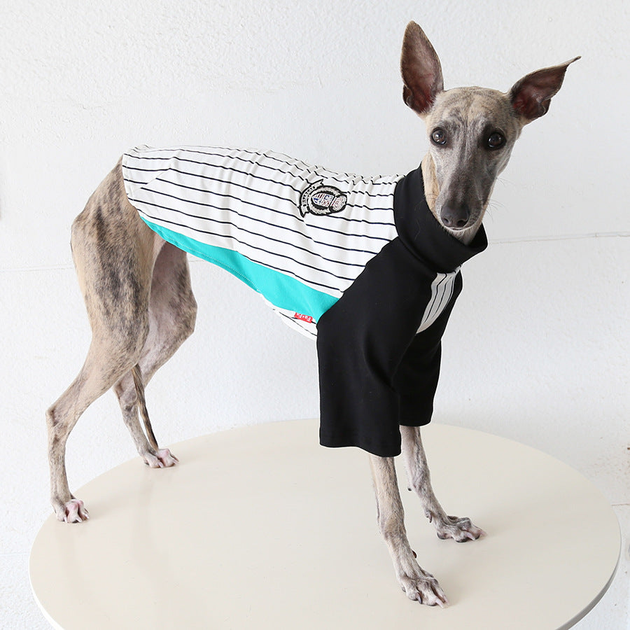 World Cup Vintage League Baseball Jacket Italian Greyhound Whippet Clothes