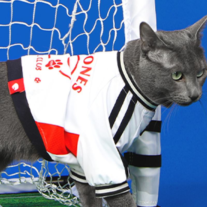 Soccer Sports Top Dog & Cat Breathable Athletic Shirt Dress