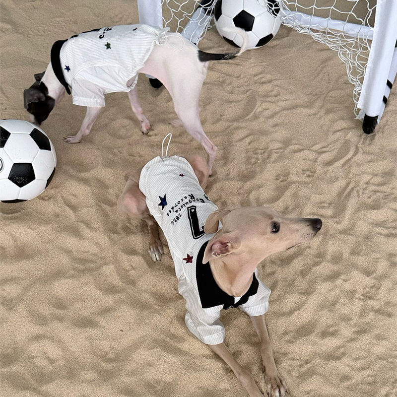 World Cup Vintage Embroidered Cooling Clothes Whippet Jersey Italian Greyhound Clothes
