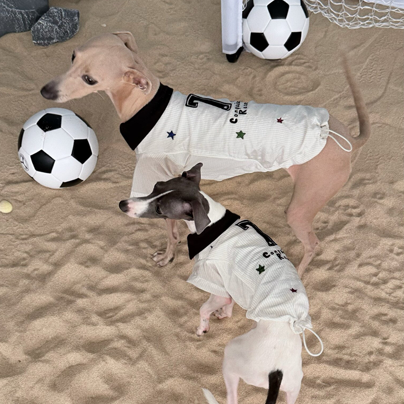 World Cup Vintage Embroidered Cooling Clothes Whippet Jersey Italian Greyhound Clothes