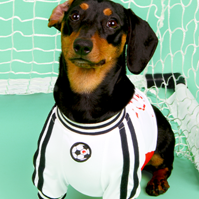 Soccer Sports Top Dog & Cat Breathable Athletic Shirt Dress