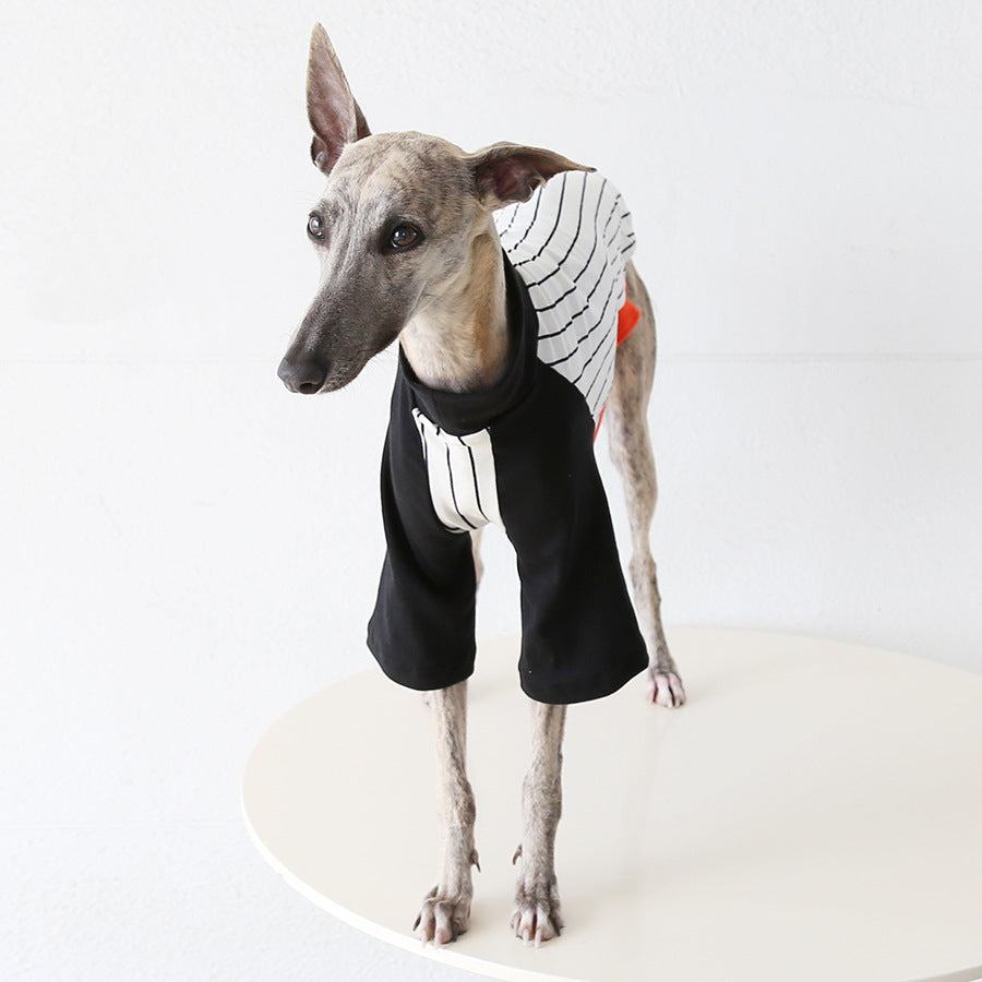 World Cup Vintage League Baseball Jacket Italian Greyhound Whippet Clothes
