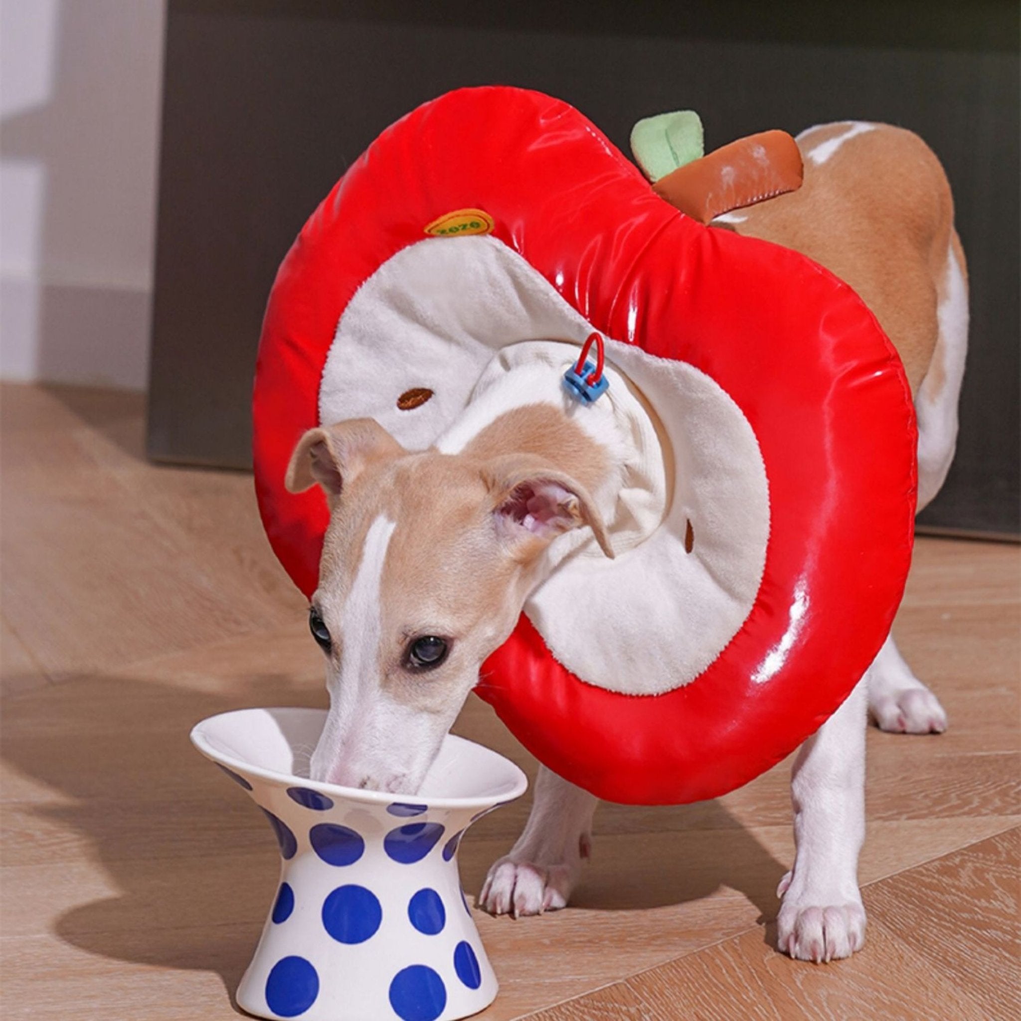 Apple Recovery Cone Adjustable for Dog & Cat -