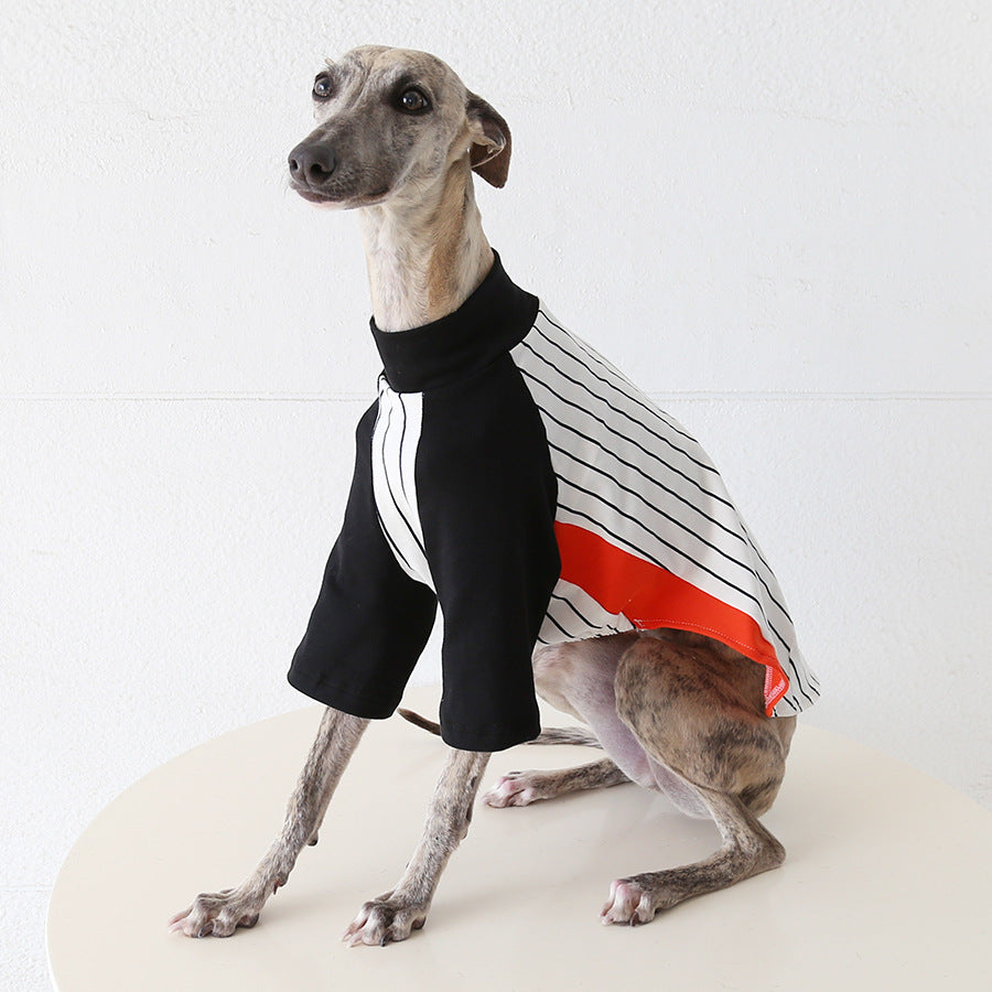 World Cup Vintage League Baseball Jacket Italian Greyhound Whippet Clothes