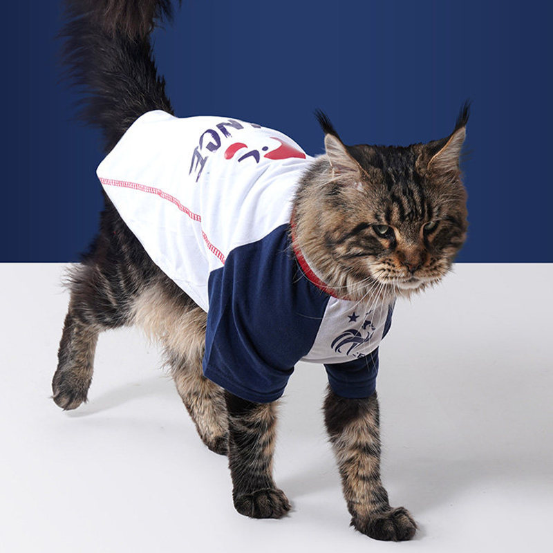 World Cup France Team Dog & Cat Raglan Sleeve T Shirt