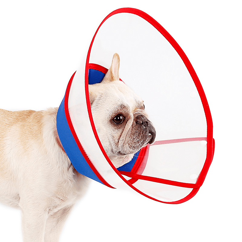 Protective Elizabeth Collar Dog Cone Anti - Bite Lick Scratch -