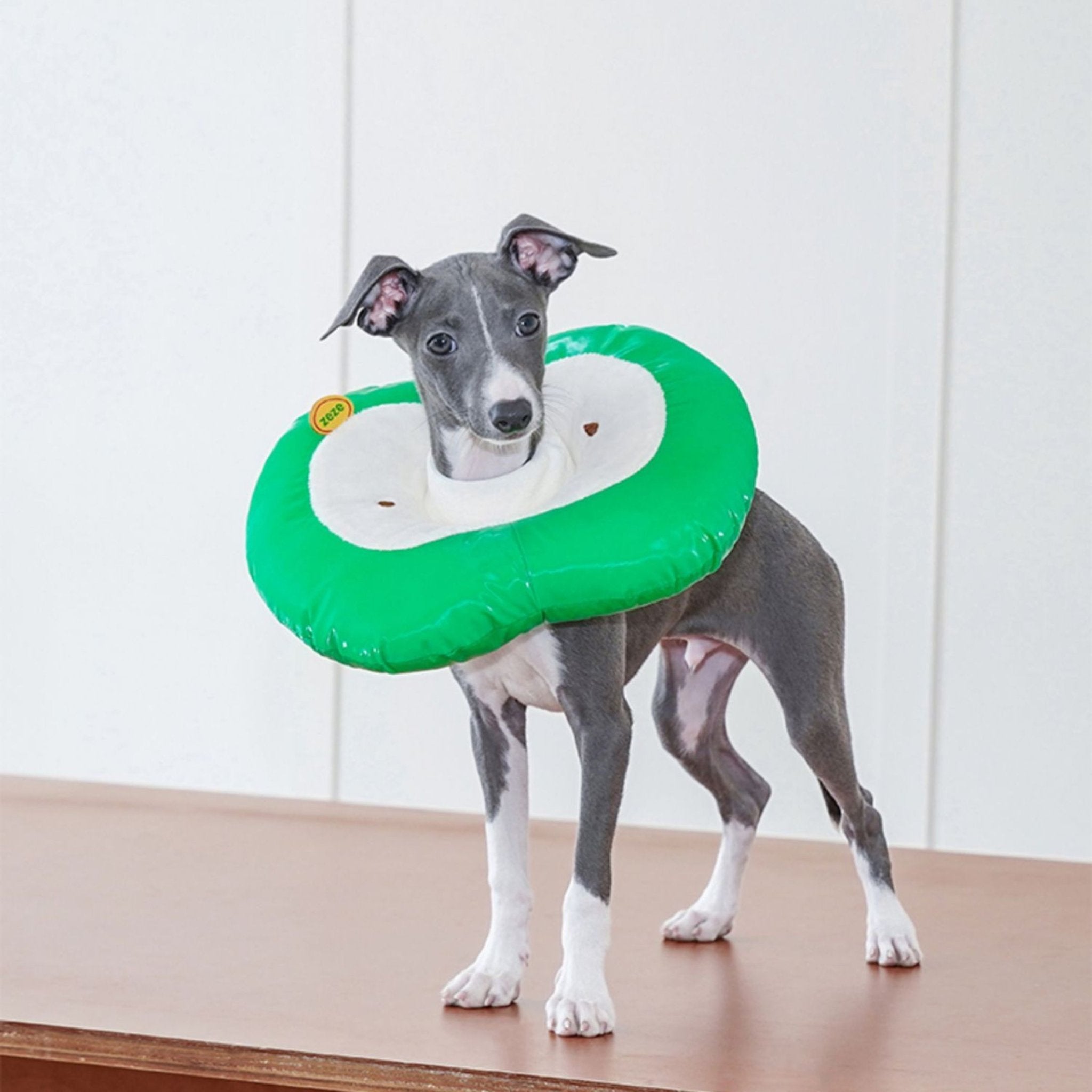 Apple Recovery Cone Adjustable for Dog & Cat -