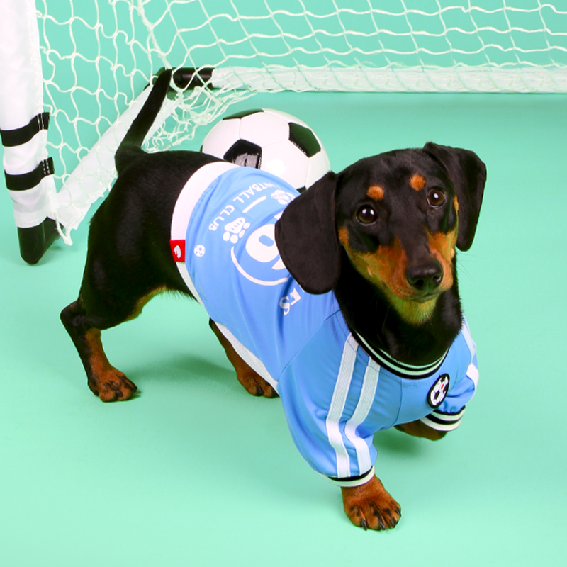 Soccer Sports Top Dog & Cat Breathable Athletic Shirt Dress