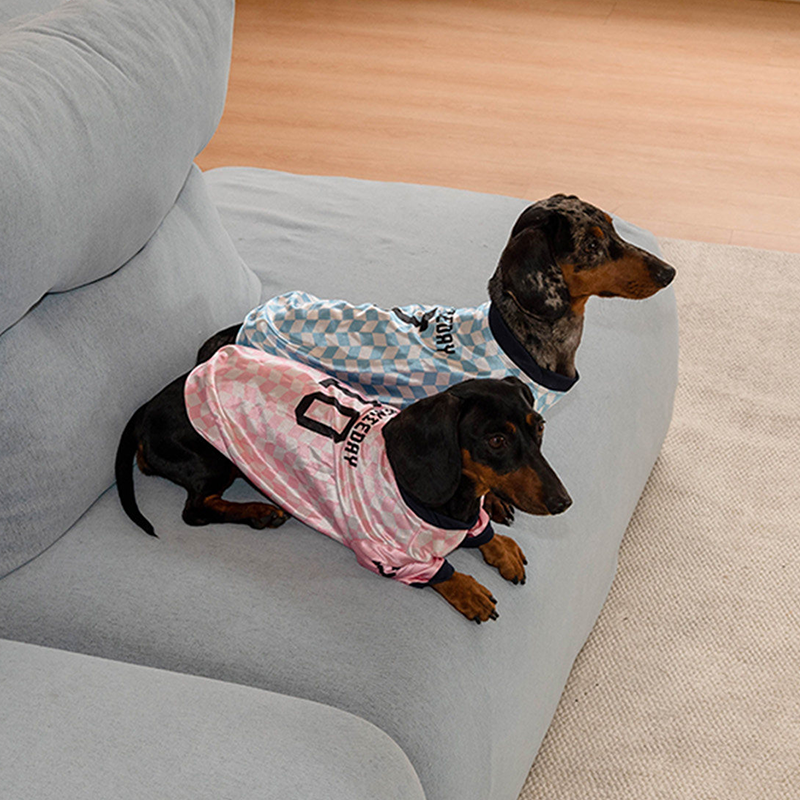 Vintage Jersey Dachshund Lightweight Shirts