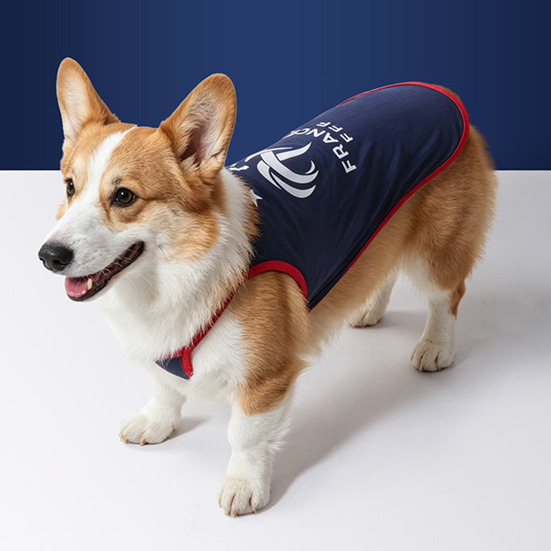 World Cup France Team Dog & Cat Cooling Suspender Shirt