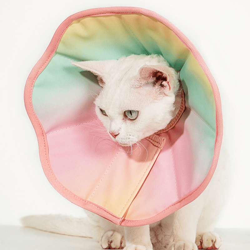 Cotton Recovery Cone Iridescent Elizabeth Collar Pet for Cats and Dogs -
