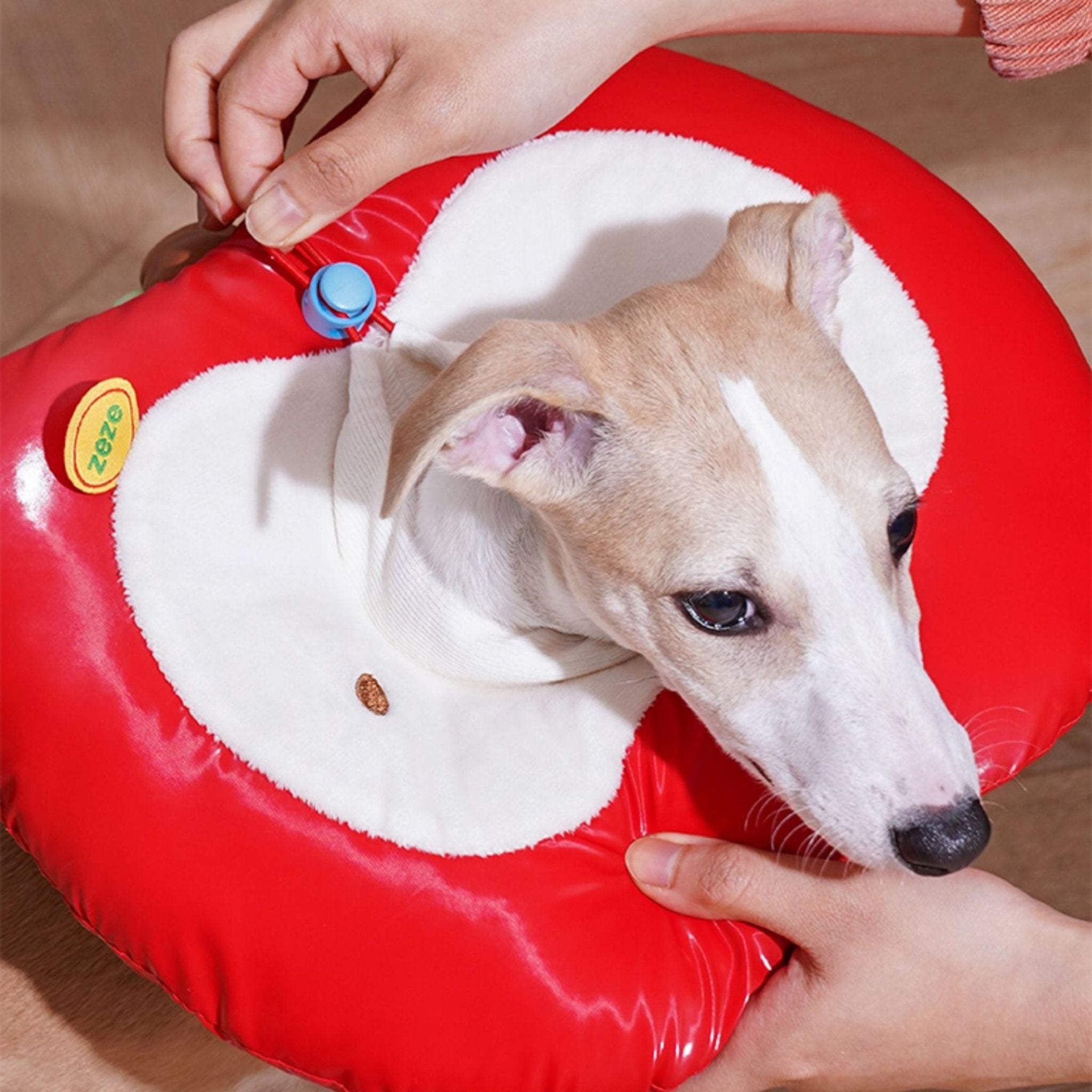 Apple Recovery Cone Adjustable for Dog & Cat -
