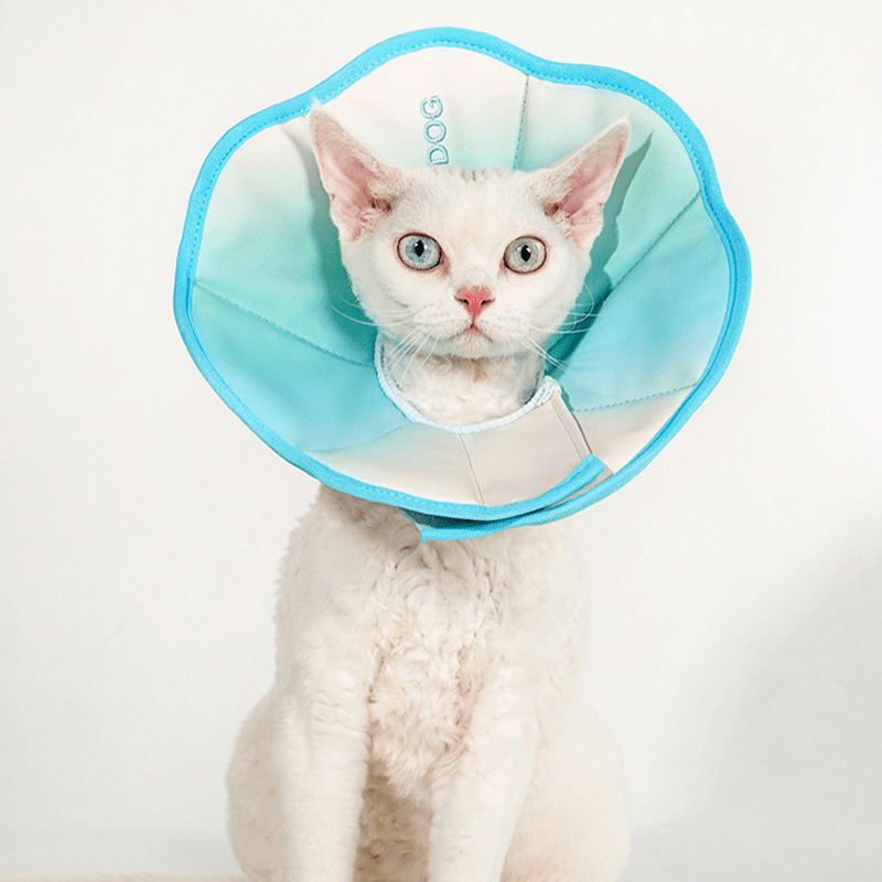 Cotton Recovery Cone Iridescent Elizabeth Collar Pet for Cats and Dogs -