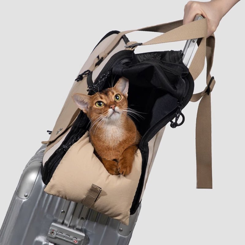 Soft - Sided Cat Carrier – Portable, Comfy & Ventilated -