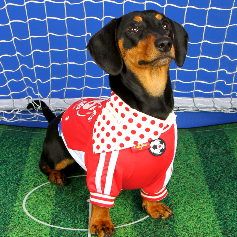 Soccer Sports Top Dog & Cat Breathable Athletic Shirt Dress