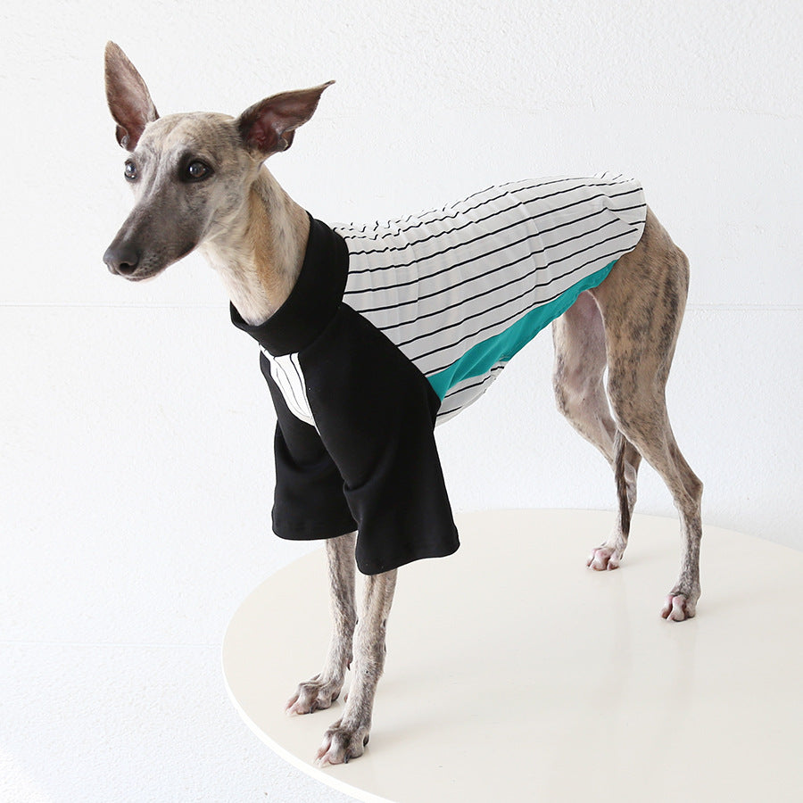 World Cup Vintage League Baseball Jacket Italian Greyhound Whippet Clothes
