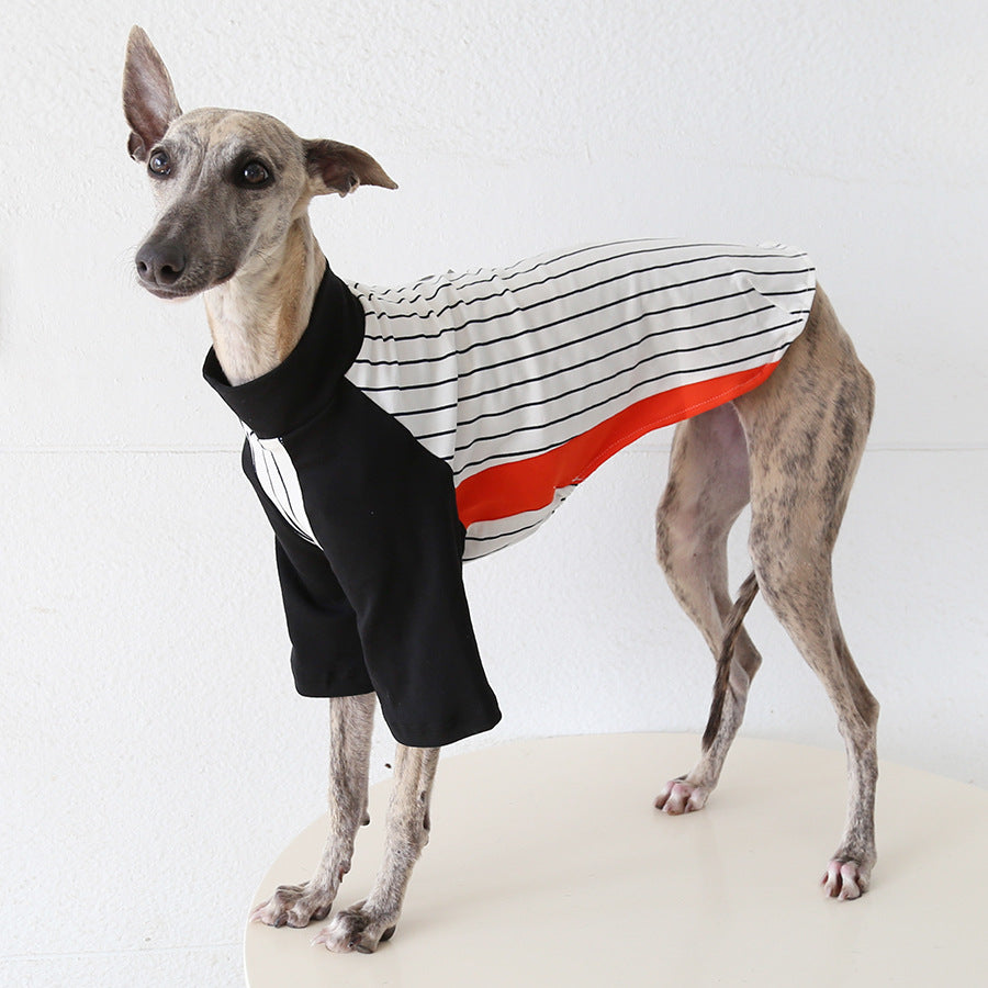 World Cup Vintage League Baseball Jacket Italian Greyhound Whippet Clothes