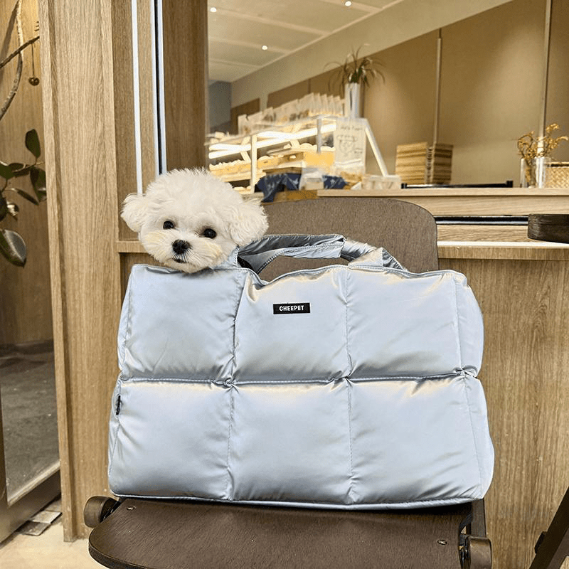 Pet Carrier Outing Stylish Portable Handbag For Pet Under 6.6 lbs -