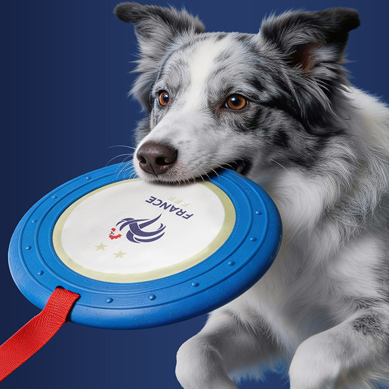 World Cup France Team Dog Flying Disc Durable Training Toy Outdoor