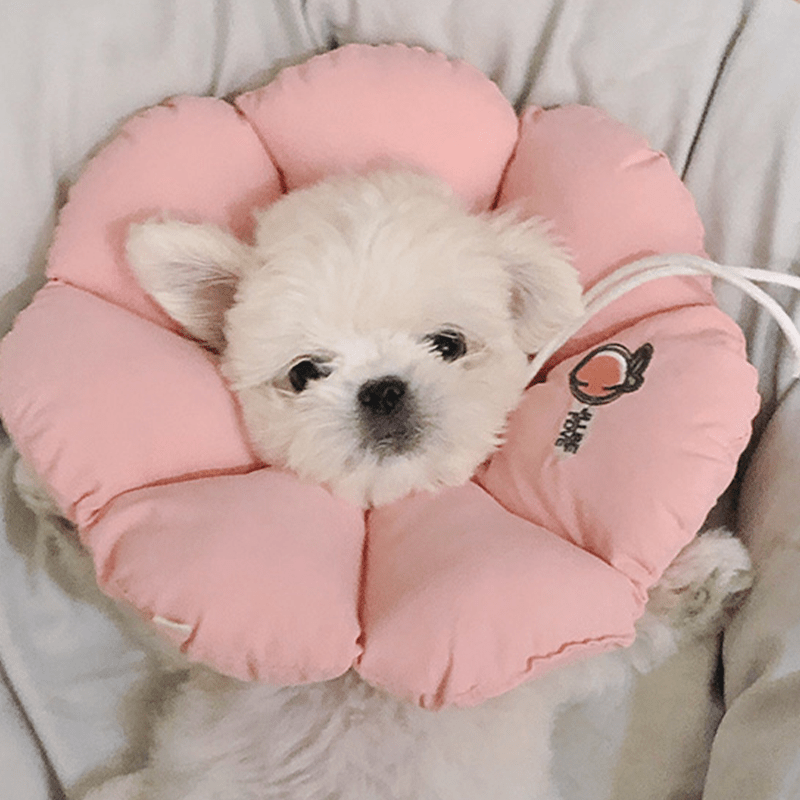 Cotton Flower Soft Elizabeth Collar for Small Medium Dogs Anti - Lick Bite -