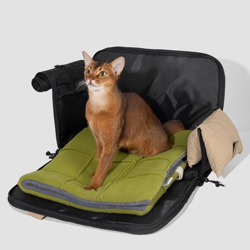 Soft - Sided Cat Carrier – Portable, Comfy & Ventilated -